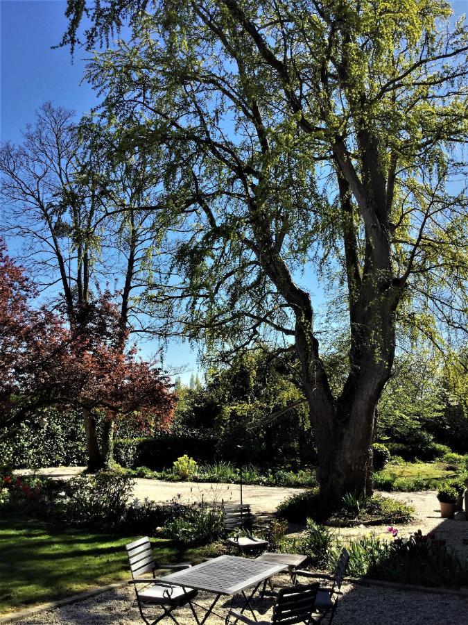 Le Grand Arbre Bed and Breakfast Bayeux Buitenkant foto